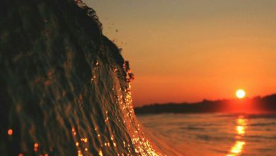 أمواج البحر العالية المضيئة تنيرها أشعة الشمس مع اجمل واحلي غروب 390x220 - صورة أمواج البحر العالية المضيئة تنيرها أشعة الشمس مع اجمل واحلي غروب
