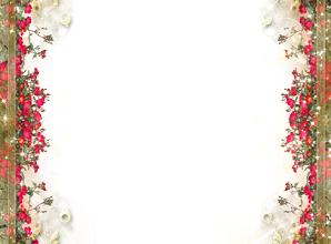 صورة اجمل زهور وكوشة وبوكيهات ورد للخطوبة والفرح فريم للصور 298x220 - صورة اجمل زهور وكوشة وبوكيهات ورد للخطوبة والفرح فريم للصور