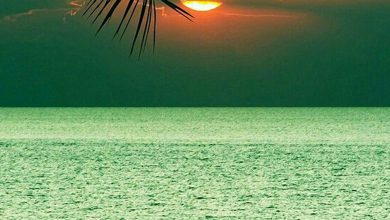 اغروب الشمس من خلف السحب فوق مياه البحر الزرقاء في منظر جميل جدا 390x220 - صورة اغروب الشمس من خلف السحب فوق مياه البحر الزرقاء في منظر جميل جدا