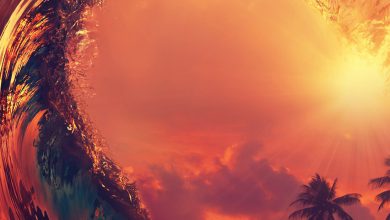 الأمواج العالية مرآه تعكس غروب الشمس والأشجار والنخيل 390x220 - صورة الأمواج العالية مرآه تعكس غروب الشمس والأشجار والنخيل