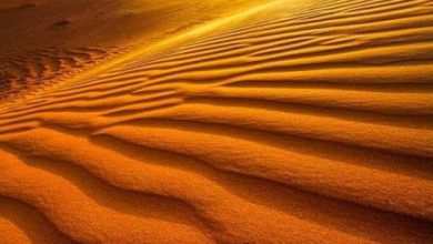 الصحراء عند لحظة الغروب 390x220 - صورة الصحراء عند لحظة الغروب