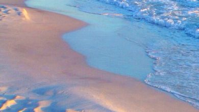 الكثبان الرملية الرائعه تغطي شاطئ البحر الأزرق الشفاف الائع 390x220 - صورة الكثبان الرملية الرائعه تغطي شاطئ البحر الأزرق الشفاف الائع