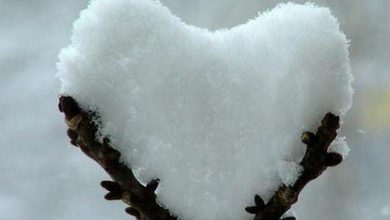 صورة انت قلبك قاسى قلب من الثلج البارد 390x220 - صورة انت قلبك قاسى قلب من الثلج البارد