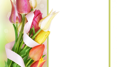 باقة زهور الربيع جميلة ورقيقة فريم للصور 390x220 - صورة باقة زهور الربيع جميلة ورقيقة فريم للصور