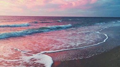 صورة بحر بمياه كريستالية وسماء قرمزية خلابه مع غروب الشمس 390x220 - صورة بحر بمياه كريستالية وسماء قرمزية خلابه مع غروب الشمس