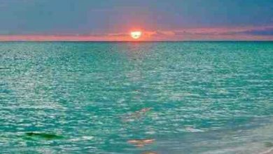 بحر هادئ وقت غروب الشمس 390x220 - صورة بحر هادئ وقت غروب الشمس