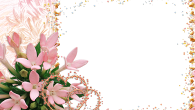 زهور القلوب الرومانسيه فريم للصور 390x220 - صورة زهور القلوب الرومانسيه فريم للصور