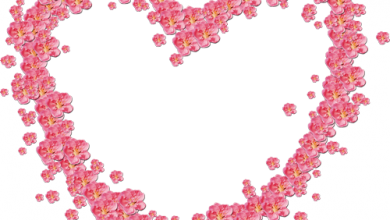زهور حمراء على شكل قلب جميلة فريم للصور 390x220 - صورة زهور حمراء على شكل قلب جميلة فريم للصور