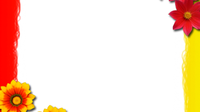 زهور حمراء وبرتقالية لعيد حب جميل اطارات وفريمات للصور 390x220 - صورة زهور حمراء وبرتقالية لعيد حب جميل اطارات وفريمات للصور