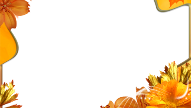 سقوط الزهور فى الخريف فريم للصور 390x220 - صورة سقوط الزهور فى الخريف فريم للصور