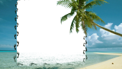 صورة شاطئ البحر فريم للصور 390x220 - صورة شاطئ البحر فريم للصور