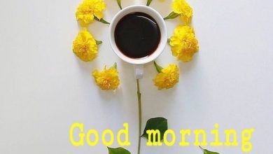 صباح الخير مع زهور صفراء جميلة 390x220 - صورة صباح الخير مع زهور صفراء جميلة