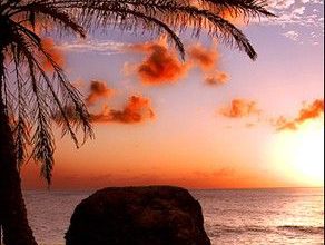 صورة غروب الشمس عند شاطئ البرح مع النخيل رائعة الجمال 292x220 - صورة غروب الشمس عند شاطئ البرح مع النخيل رائعة الجمال