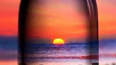 غروب رائع مدهش الشمس داخل زجاجه علي جسر خشبي عبر مياه البحر البنفسجية 390x220 - صورة غروب رائع مدهش الشمس داخل زجاجه علي جسر خشبي عبر مياه البحر البنفسجية