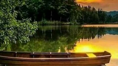 قارب بمياه بحيرة هادئة عند غروب الشمس  390x220 - صورة قارب بمياه بحيرة هادئة عند غروب الشمس
