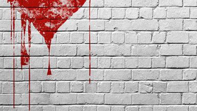قلب احمر رومانسى على حائط ابيض 390x220 - صورة قلب احمر رومانسى على حائط ابيض