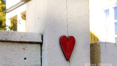 قلب احمر رومانسى على حائط الحب 390x220 - صورة قلب احمر رومانسى على حائط الحب