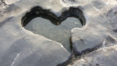 صورة قلب الحب على صخور سوداء 390x220 - صورة قلب الحب على صخور سوداء
