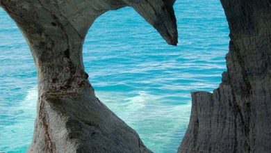 قلب رومانسى جميل على شاطئ البحر الرومانسى 390x220 - صورة قلب رومانسى جميل على شاطئ البحر الرومانسى