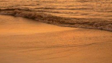 قلب رومانسى جميل على شاطئ البحر عند غروب الشمس 390x220 - صورة قلب رومانسى جميل على شاطئ البحر عند غروب الشمس