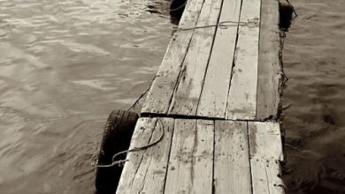 صورة ممر خشبي يدوي قديم فوق مياه البحر 390x220 - صورة ممر خشبي يدوي قديم فوق مياه البحر