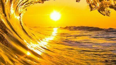 موج البحر الشفاف يعكس غروب الشمس مع اجمل منظر غروب 390x220 - صورة موج البحر الشفاف يعكس غروب الشمس مع اجمل منظر غروب