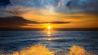 صورة مياه البحر تلونت باللون الأصفر الذهبي مع رحيل شمس الغروب 390x220 - صورة مياه البحر تلونت باللون الأصفر الذهبي مع رحيل شمس الغروب