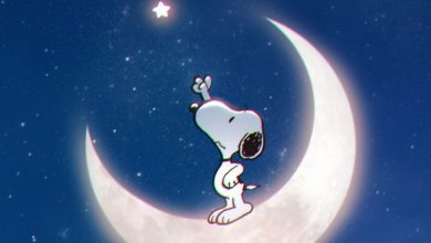 كلبوبى على القمر 390x220 - صور كلبوبى على القمر