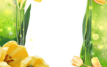 للصور اجمل زهور التيوليب لكل حبيب 348x220 - فريمات للصور اجمل زهور التيوليب لكل حبيب