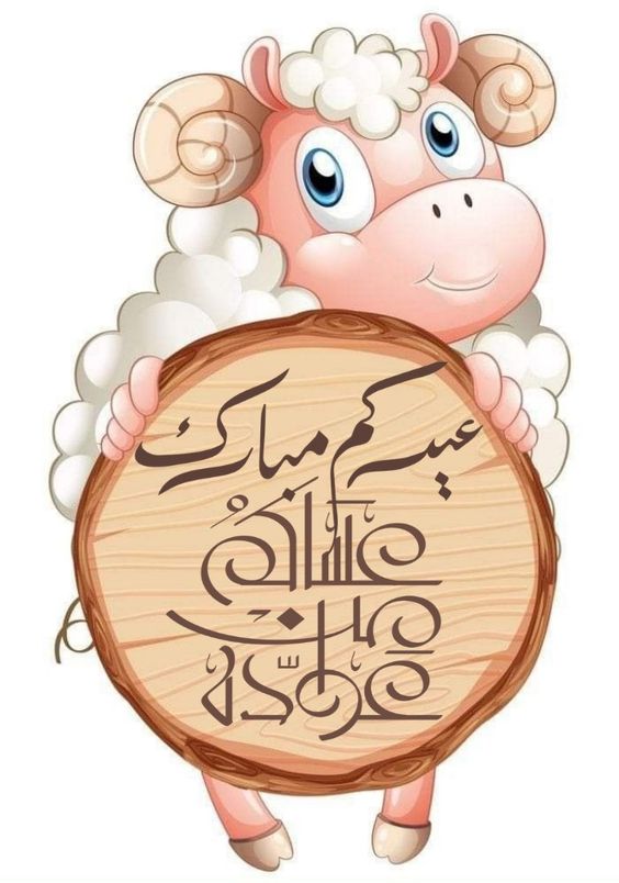 صور خروف عيد الاضحى عيدكم مبارك - صور خروف عيد الاضحى عيدكم مبارك