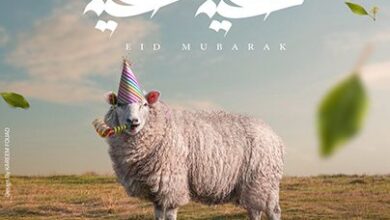 صورة خروف العيد الاضحى مع تهنئة عيد سعيد